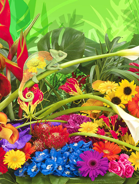 图片专业输出 / 胶卷冲扫 / 影像产品 - 3